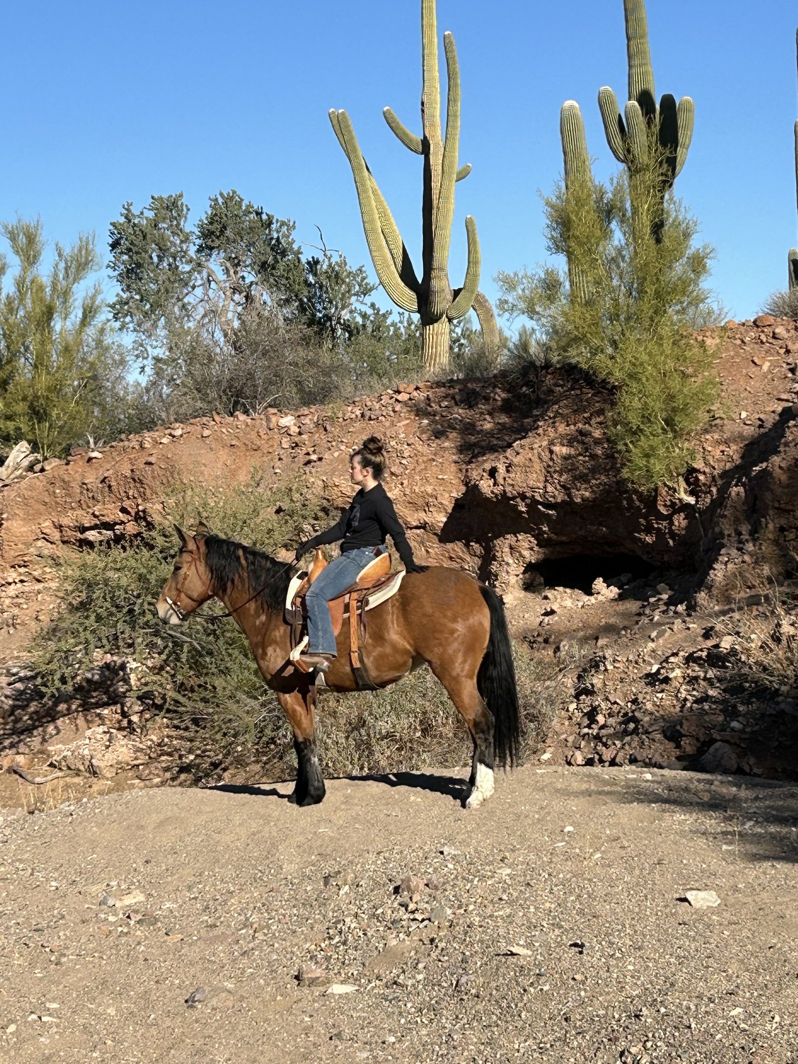 Arizona desert